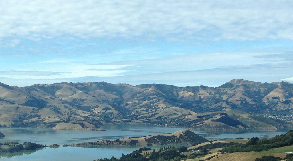 Blythcliffe Panzió Akaroa Kültér fotó