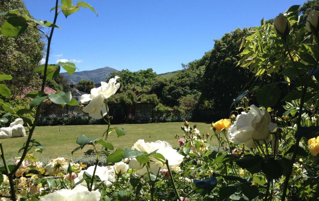 Blythcliffe Panzió Akaroa Kültér fotó