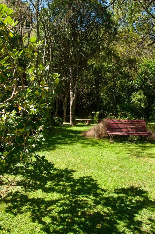 Blythcliffe Panzió Akaroa Kültér fotó